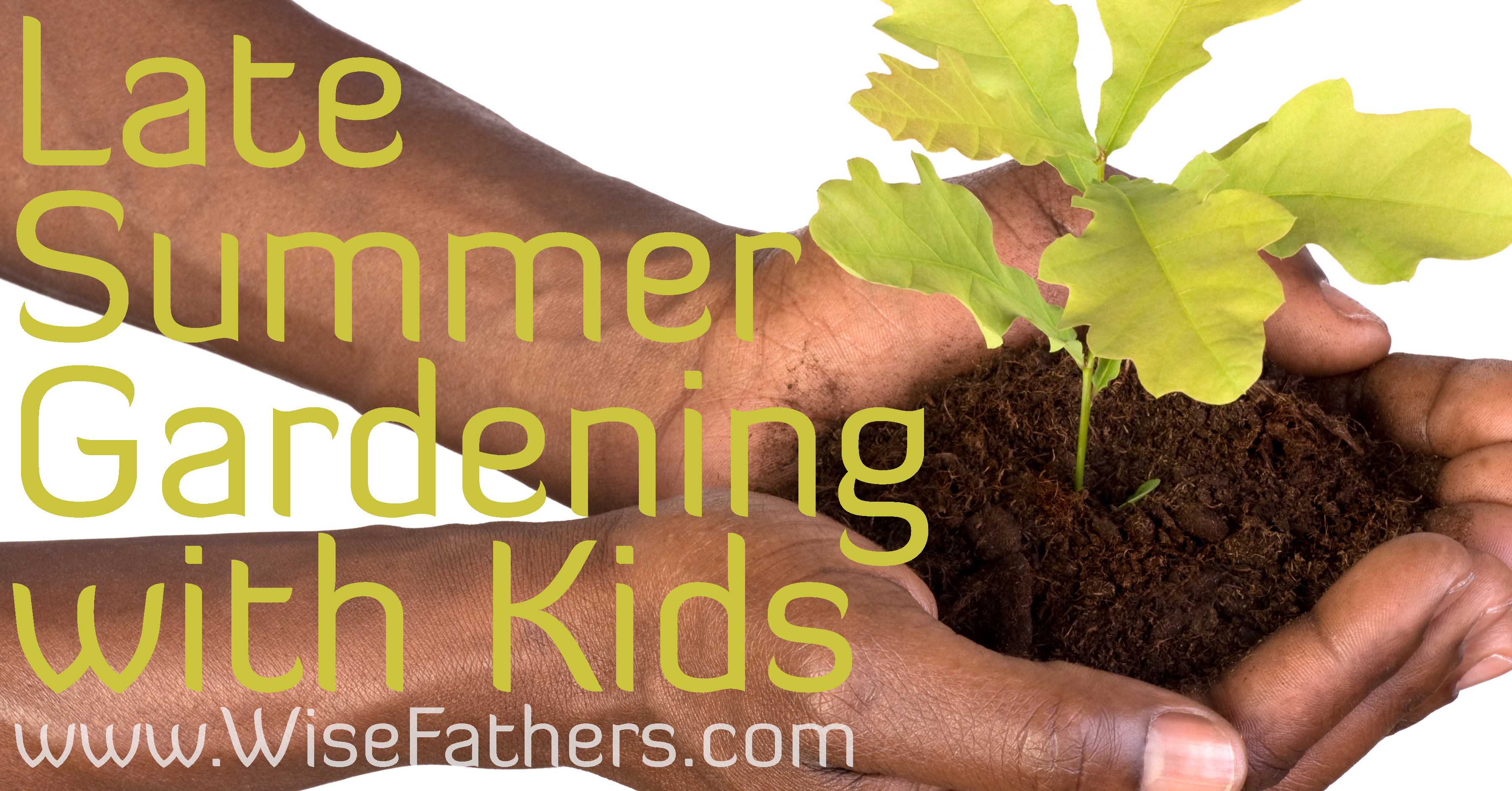 Late Summer Gardening with Kids