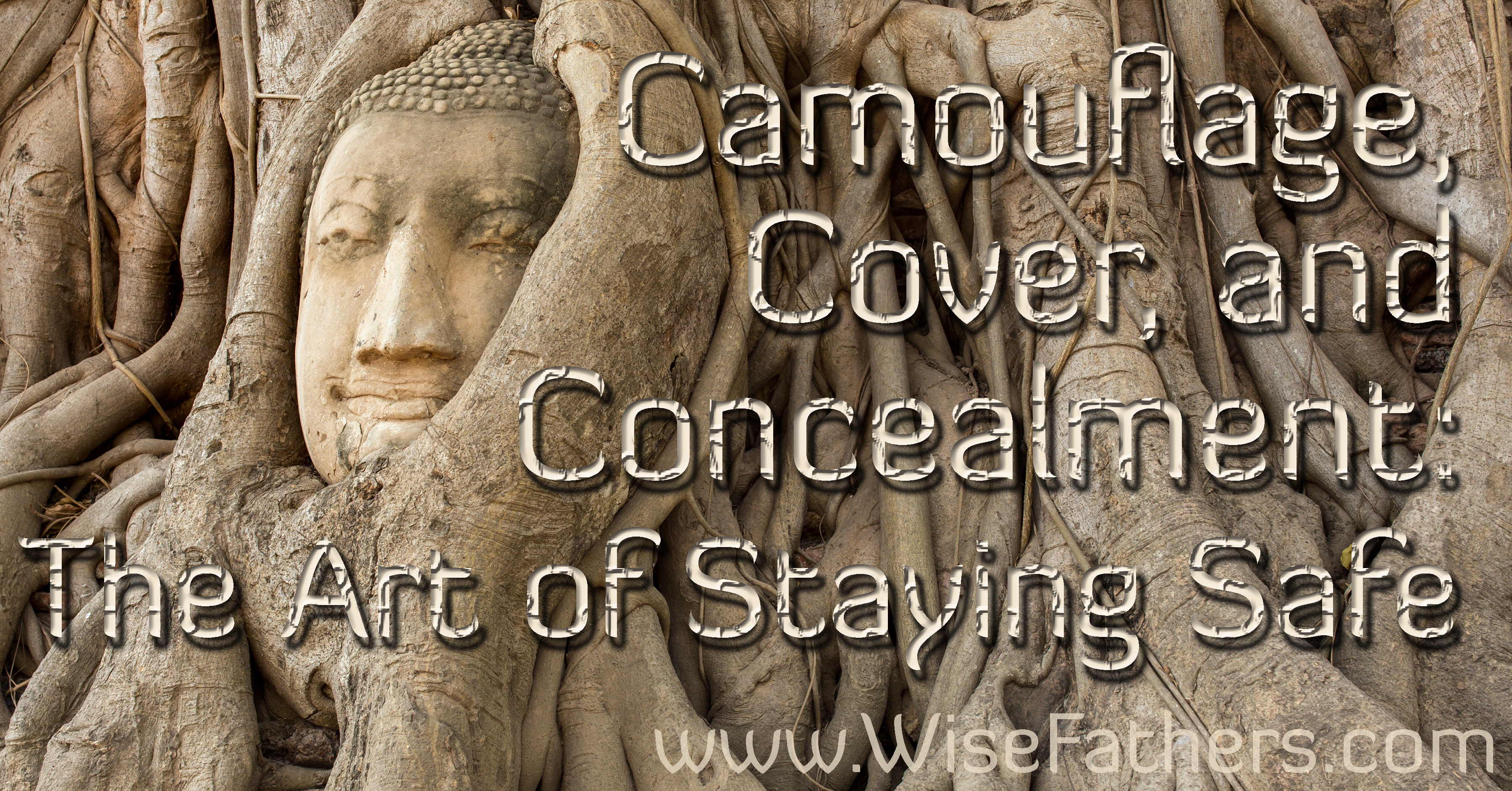 Camouflage, Cover, and Concealment: The Art of Staying Safe